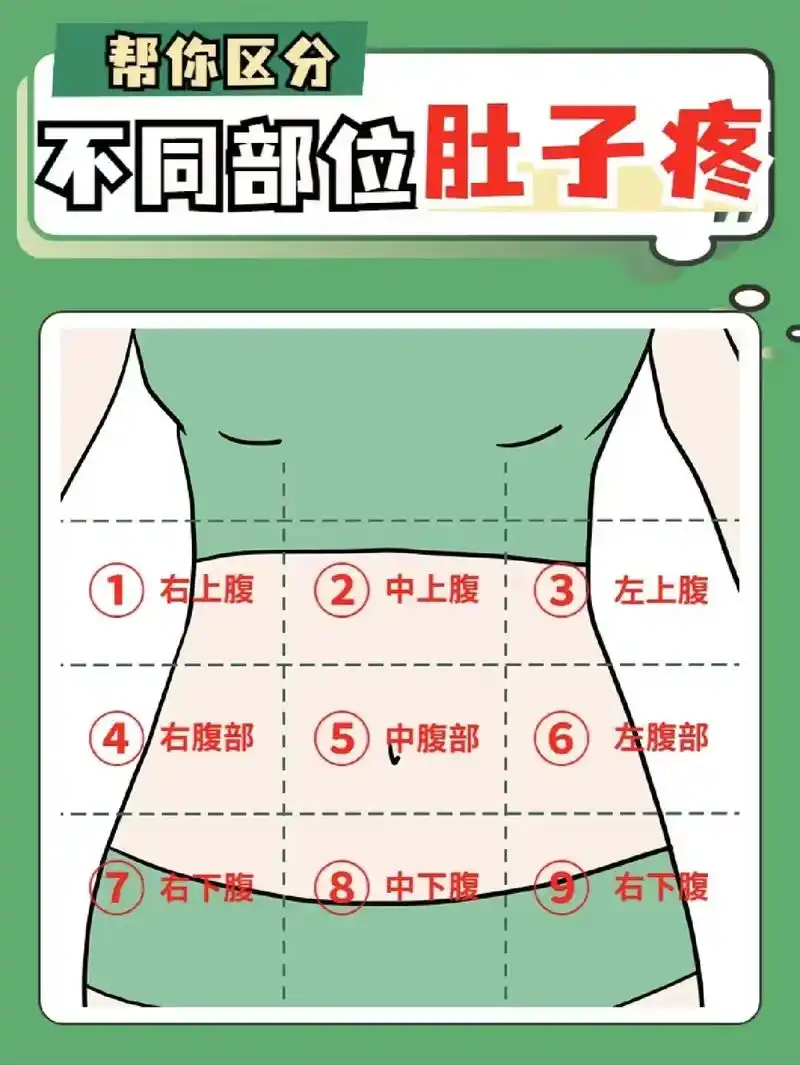 中医养生分享:帮你区分不同部位肚子痛,#养生保健小知识 #中 - 抖音