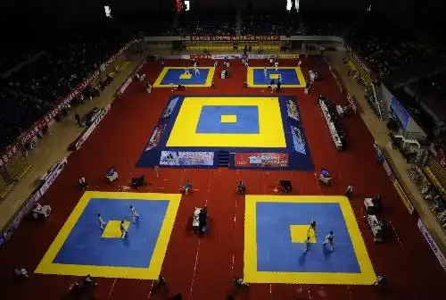 图文全国跆拳道奥运选拔赛烟台比武赛场俯瞰
