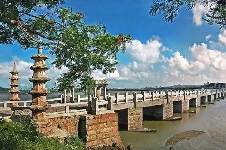 慧子早茶一分钟20220129泉州洛阳桥