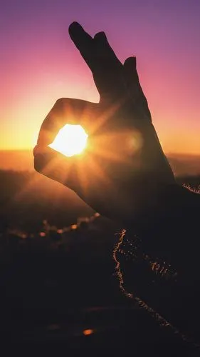 壁纸 手,手指,兔子形,太阳光线 3840x2160 uhd 4k