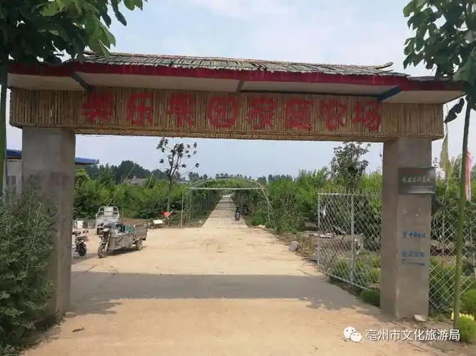 串串水晶挂满枝,采摘葡萄正当时!来亳州这里摘葡萄吧!