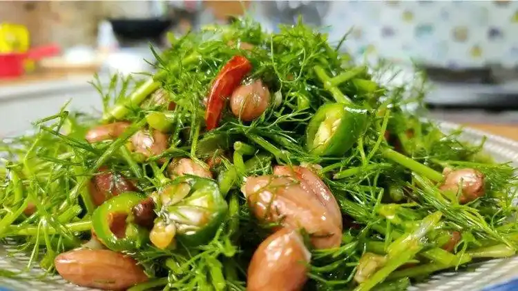 小茴香拌花生米这样做才好吃,香辣入味,下饭又下酒,做法还简单