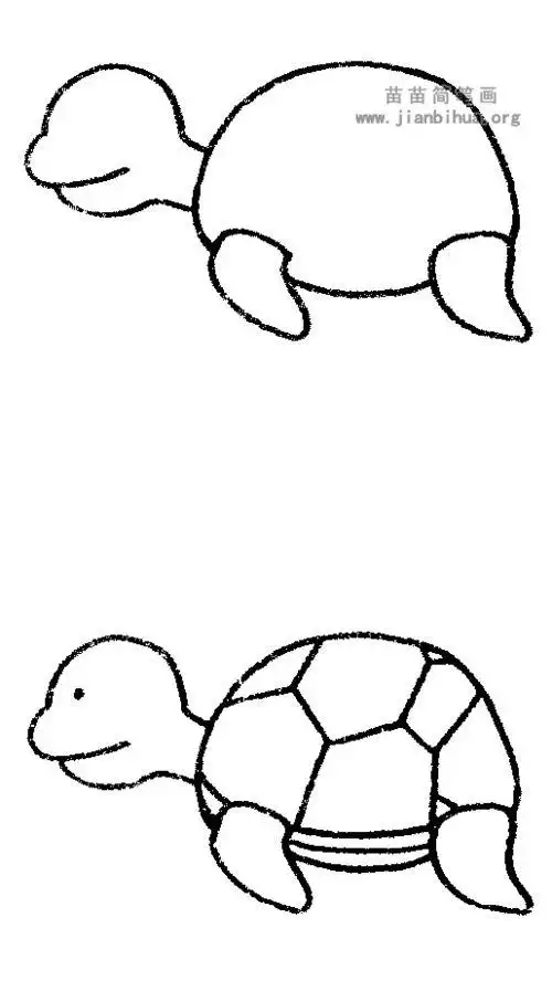 王八简笔画乌龟 - 搜狗图片搜索