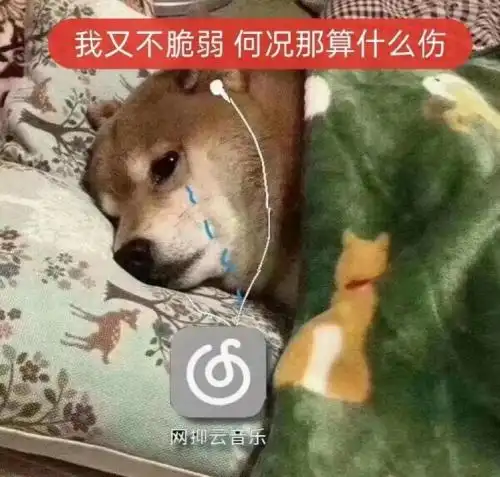 井边湾心理咨询:网易云突变"网抑云",背后是年轻人的潜在抑郁