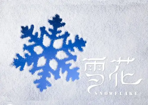 雪花|平面|字体/字形|吕小沁 - 原创作品 - 站酷 (zcool)