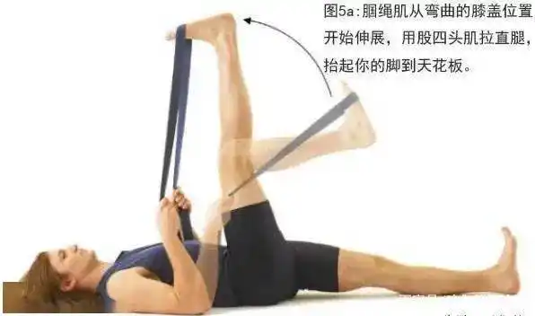 大腿后侧紧分步指导让你安全拉伸