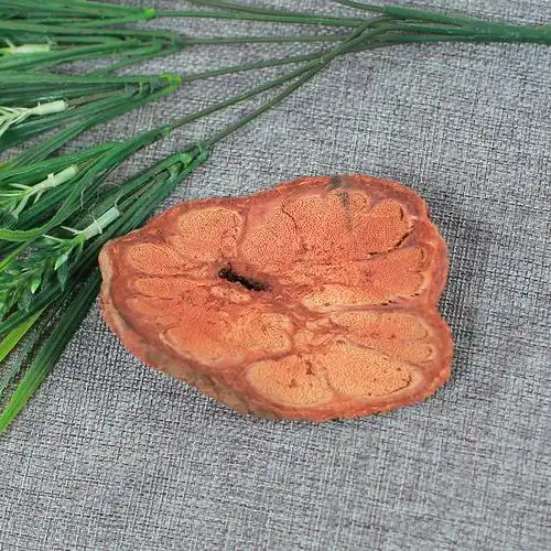 北京同仁堂九龙藤过岗龙龙须藤九龙根入骨丹过江龙500g