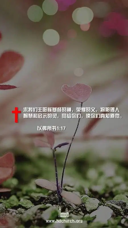 属灵实际 | 北京基督教会海淀堂