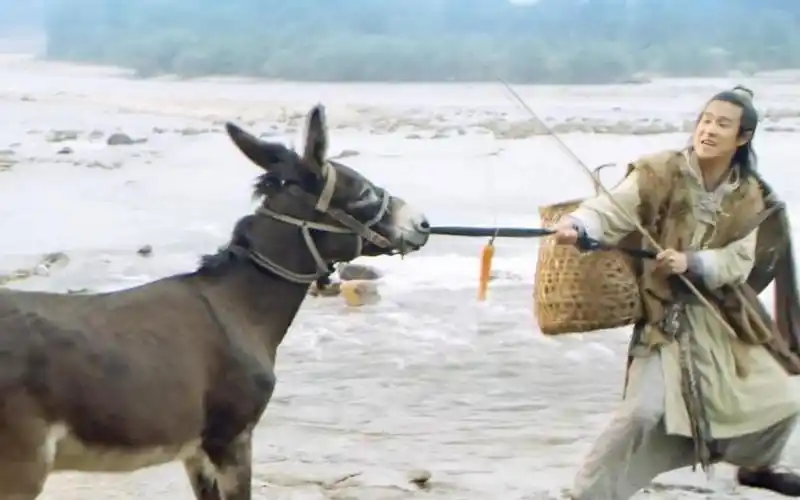 这段画面太有灵魂了,小沈阳骑毛驴用萝卜吊着走!