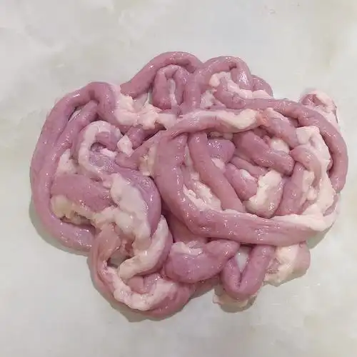 新鲜猪粉肠阿豪人家猪天天新鲜人家猪土货带油猪粉肠猪小肠苦肠发省外