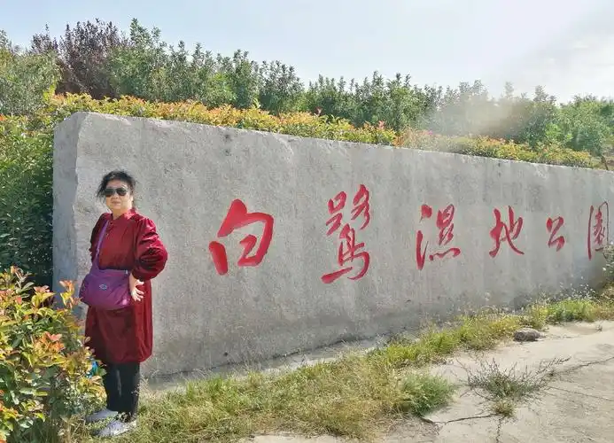 游白鹭湿地公园