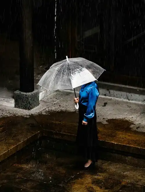 雨中飘荡的回忆