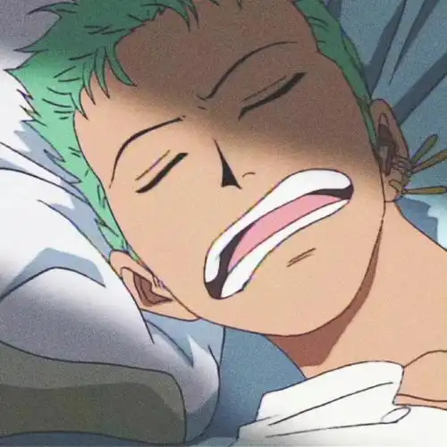 《海贼王》索隆头像    #夏日次元盛典