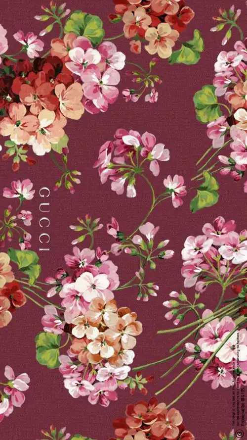 gucci - 堆糖,美图壁纸兴趣社区