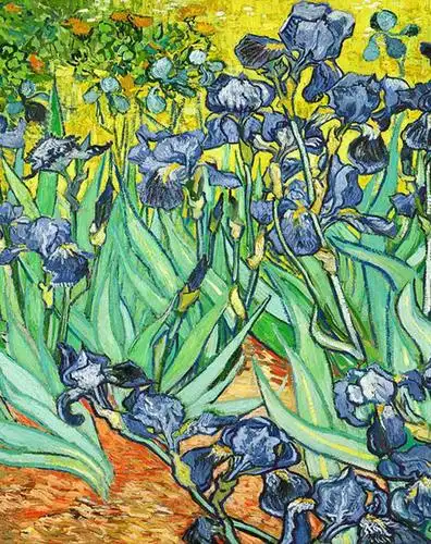 奢华世界名画 梵高鸢尾花