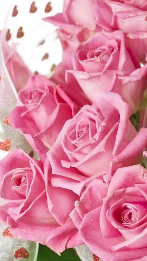 带水珠的粉红色玫瑰花束