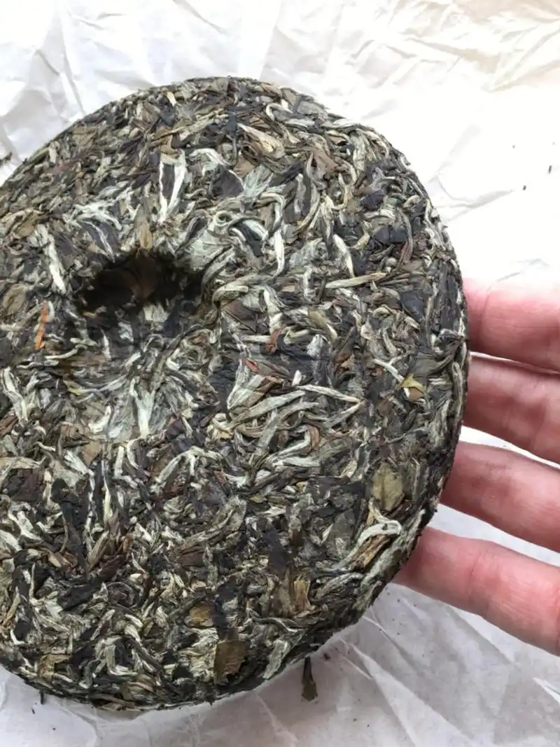 十年的福鼎老白茶一级白牡丹茶饼.这款是2014年的一级白牡丹 - 抖音