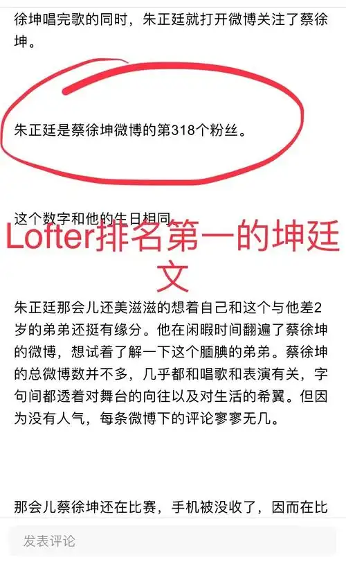 关于西皮,拒绝内涵,拒绝洗脑,拒绝带节奏