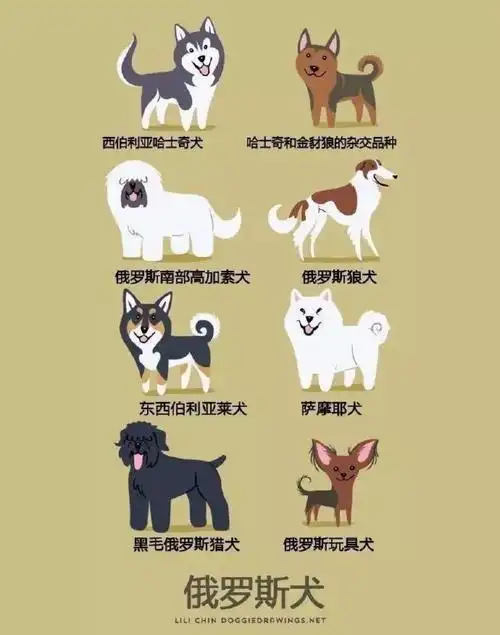 分享:     8月12日 12:56 发布到 动物参考 发表评论. 评论取消