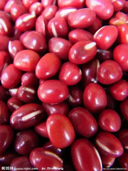 vigna angularis (willd.) ohwi et ohashi