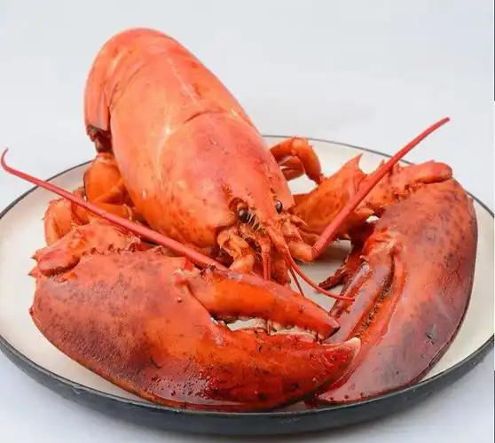 波士顿龙虾大波龙鲜活速冻海鲜龙虾特大215斤超大波龙姬美食尚1500g