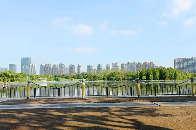 实拍公园河边湖边栏杆栅栏林木