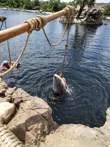 钓上来一只大鲨鱼.