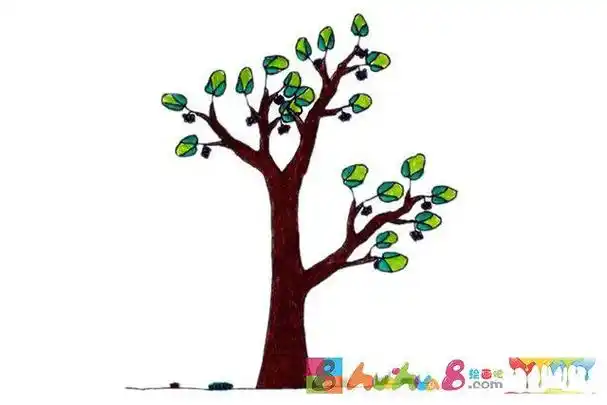 春天来了一组漂亮的大树简笔画图片儿童画树的图片 - 毛毛简笔画