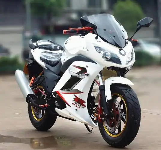 全新地平线摩托车150公路赛重机车越野趴赛助力车整车250 地平线豪华