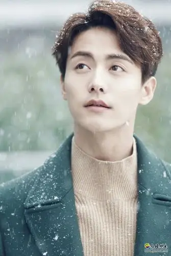 马天宇雪天写真:行走在飘扬雪花中,不时看向镜头,眼神忧郁而动人