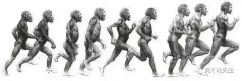 日本科技还原历史180万年前人类祖先擅长马拉松