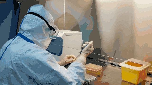 门头沟区673件核酸检测样本 结果全部为阴性