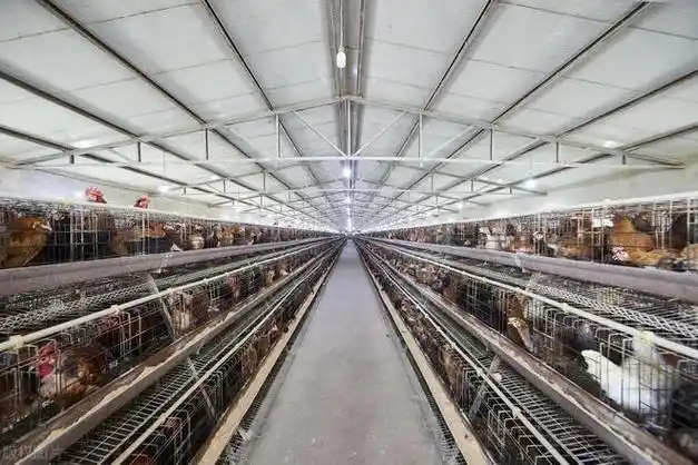 我国提倡规模化养殖场采用的清粪方式为