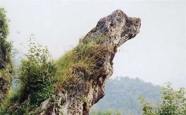 其它 黄山风景区一一再登黄山(三) 写美篇黄山奇石怪石      " 天狗