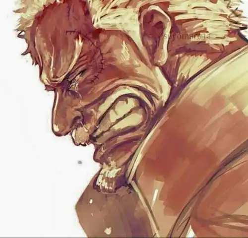 海贼王卡普是最强守护者怼死赤犬有可能吗