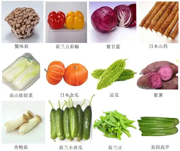 蔬菜名称大全