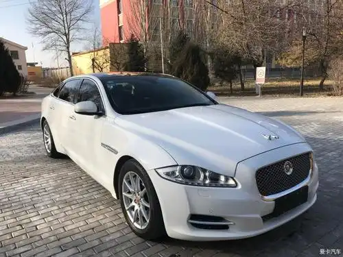 2014 捷豹 xjl 白色 准新