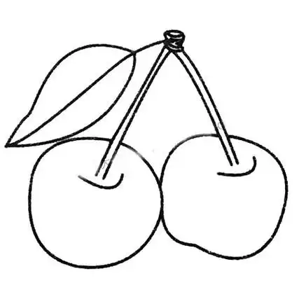 儿童植物简笔画大全-樱桃