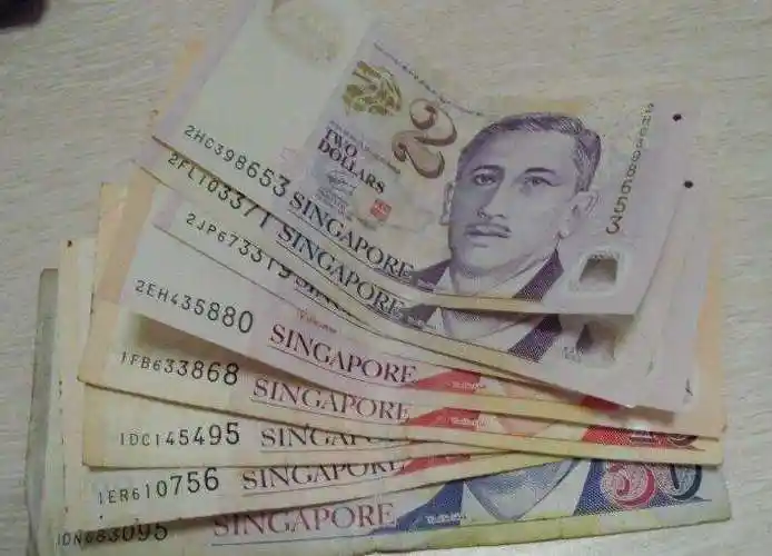 新加坡货币-新加坡货币,新加坡,货币