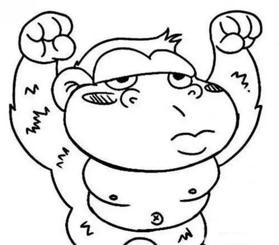 大猩猩简笔画图片