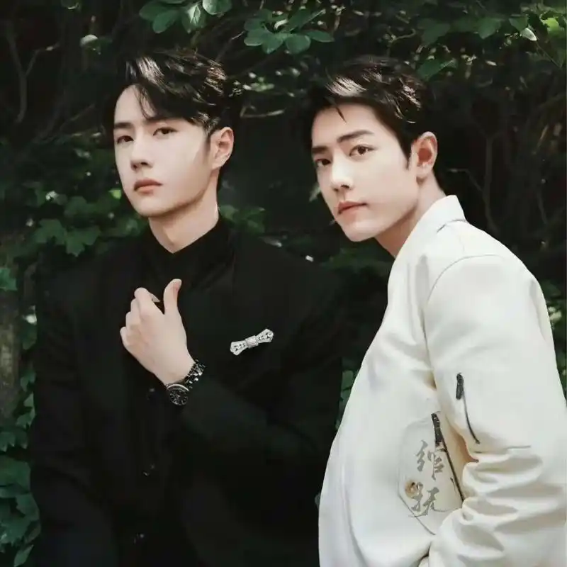 9015@uniq-王一博 @肖战 所求如愿,诸事顺 - 抖音