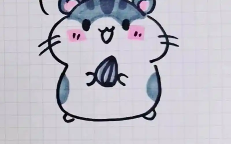 可爱的仓鼠简笔画 仓鼠简笔画吃瓜子