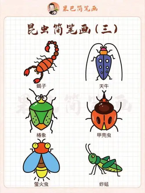 各种昆虫简笔画,喜欢的存好了