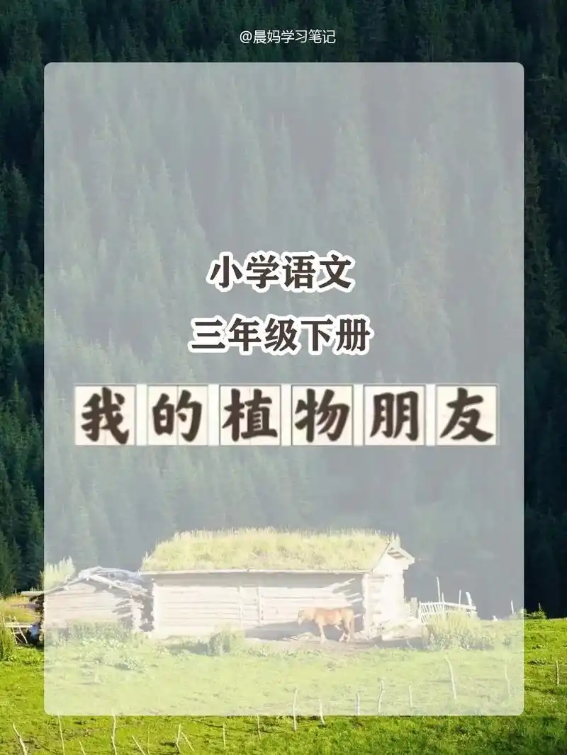 三年级习作-我的植物朋友.小学语文三年级下册习作 《我的植物 - 抖音