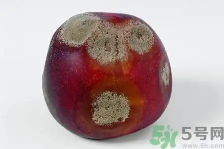 水果发霉了可以吃吗?发霉的水果对人体有什么危害?