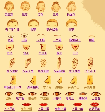 面相学资料