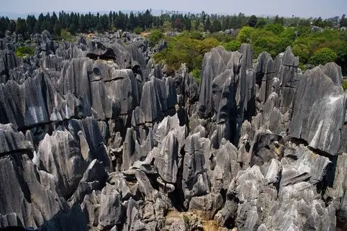 石林是昆明的标志景点,不得不说真心值得一去,玩的很好玩