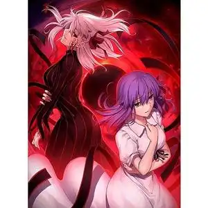 通常版 fate/stay night 天之杯2 迷失之蝶 蓝光bd