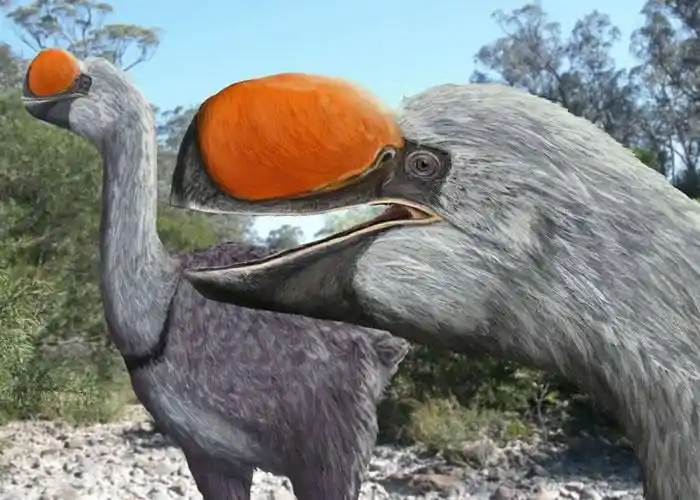 澳洲发现的史前巨型袋鼠用后腿站立行走