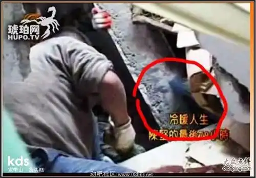 主题:汶川地震陈坚鬼脸图 是怎么回事?